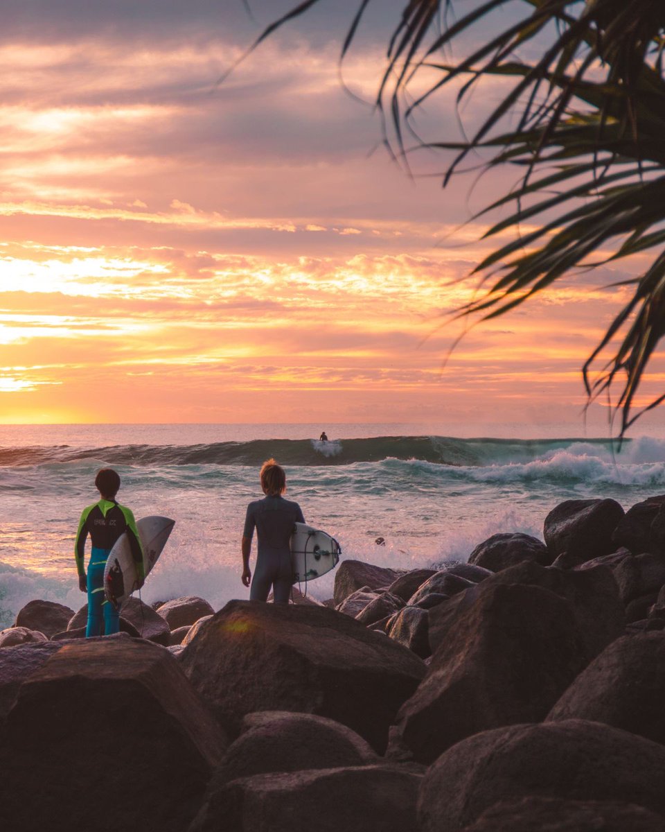 Gm from sunny Queensland, Australia! 👋🏻👋🏻