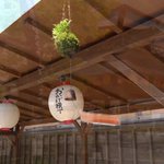 ツイートに含まれる画像