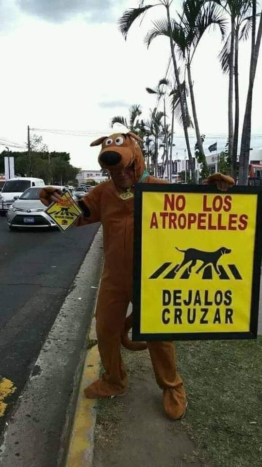 alecria66611's tweet photo. Respeta y no seas OJT. https://t.co/SWox1W3BVD