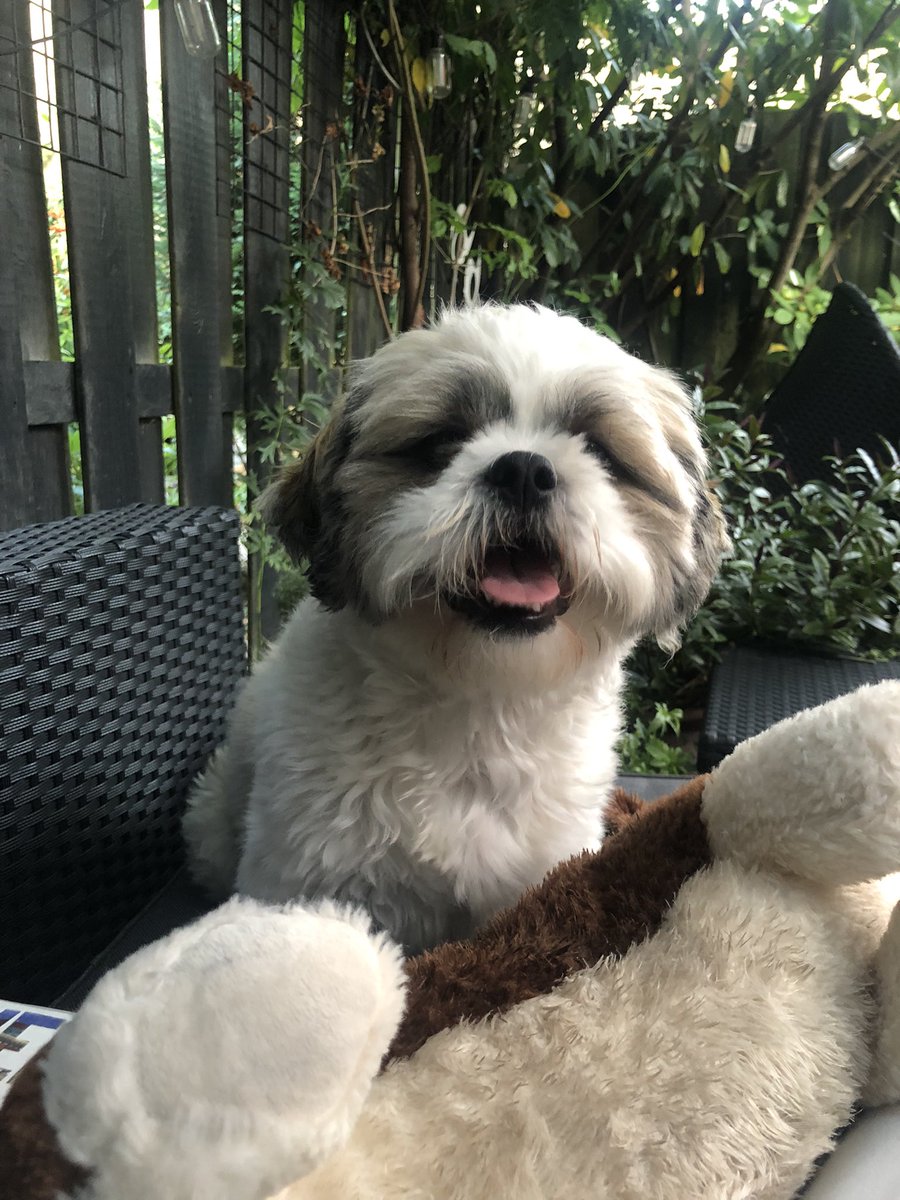 Ze al dat ik met haar hond speel :))