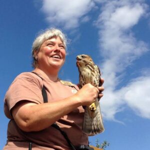 chikwaukmuseum's tweet photo. Ever wonder about the Hawks found on the Gunflint Trail? To learn more about these birds of prey, Margie Menzies will be at Chik-Wauk Nature Center Thursday, July 28th, at 6 p.m.
#chikwauk #nature #gunflinttrail #visitcookcounty #minnesota #birds #hawks #raptors #hawkridge https://t.co/z8KoJG0JDI