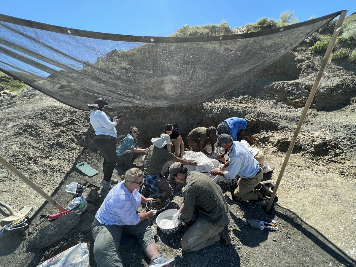 Zoe Kulik, PhD tweet media