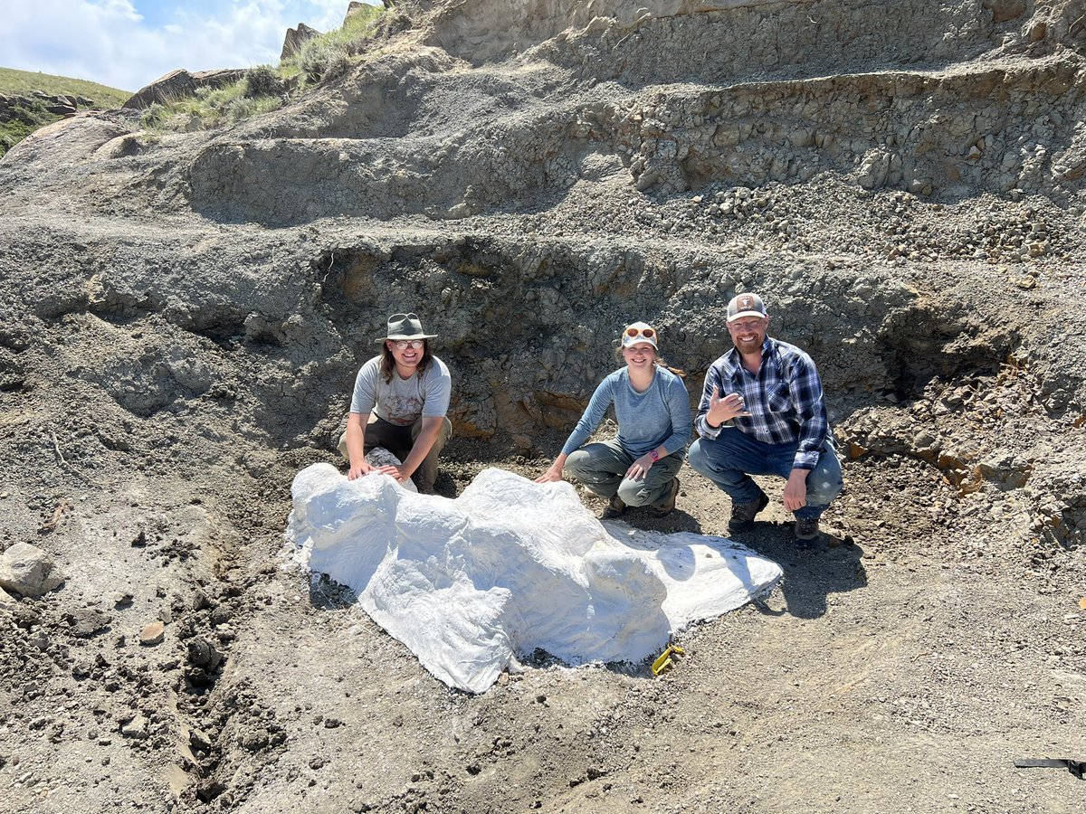 Zoe Kulik, PhD tweet media