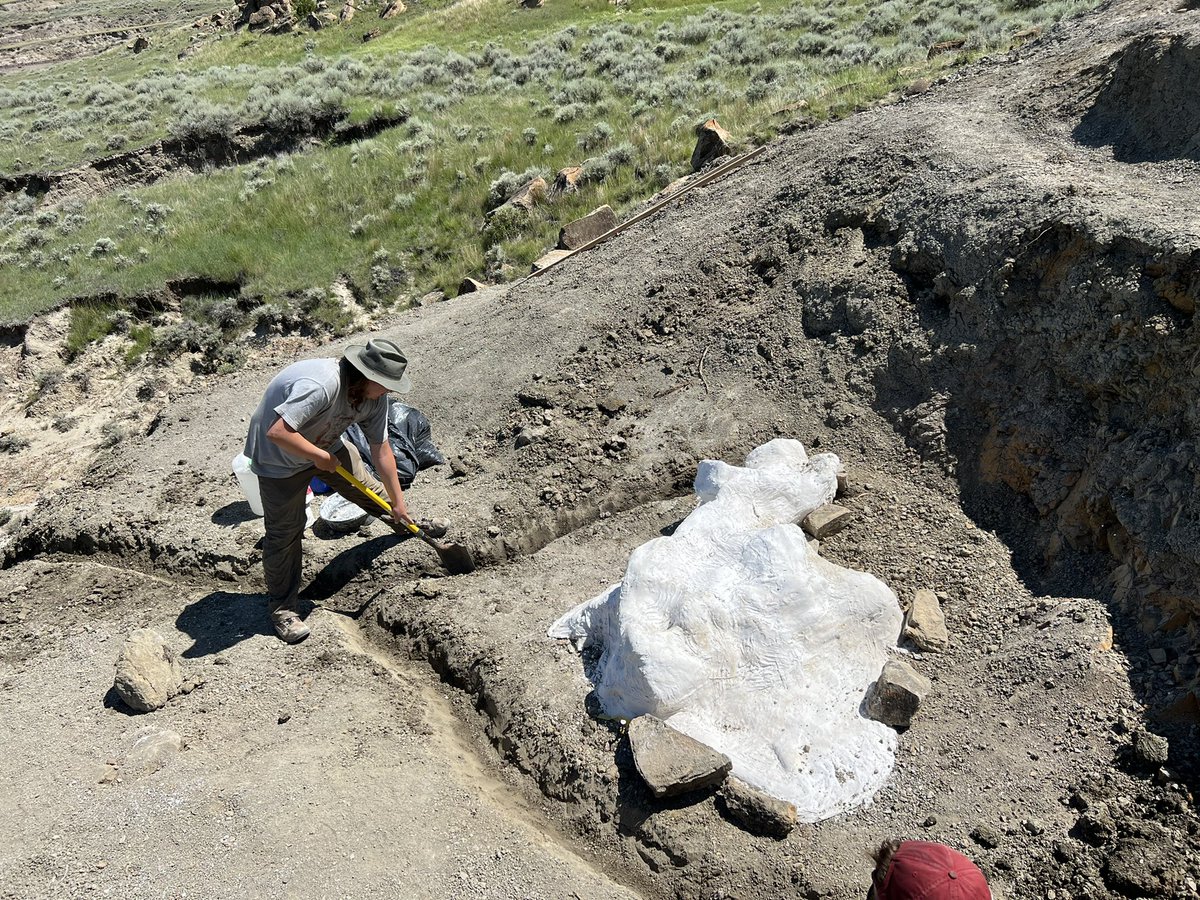 A team of <a href="/DigFieldSchool/">DIG Field School</a> teachers, <a href="/HZMFulghum/">Henry Fulghum</a> <a href="/TheLiekeze/">Ezekiel (Zeke) Augustine</a> picked up where <a href="/KelsieAbrams3/">Kelsie Abrams</a> and the rest of the Burke crew left off to winter jacket the Flyby Trike(s) and get it ready for the excavator.