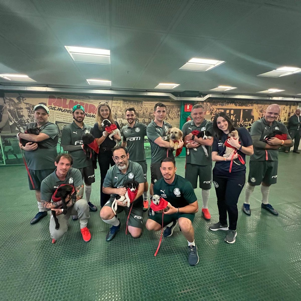 leilapereiralp's tweet photo. Em parceria com a Mars, a @wbpictures_br e a ONG Bichos do Gueto, estamos divulgando o filme Liga dos Superpets e incentivando a adoção de animais! #avantipalestra 🐶 💚🐷 🇮🇹 https://t.co/eC6D1hPcli