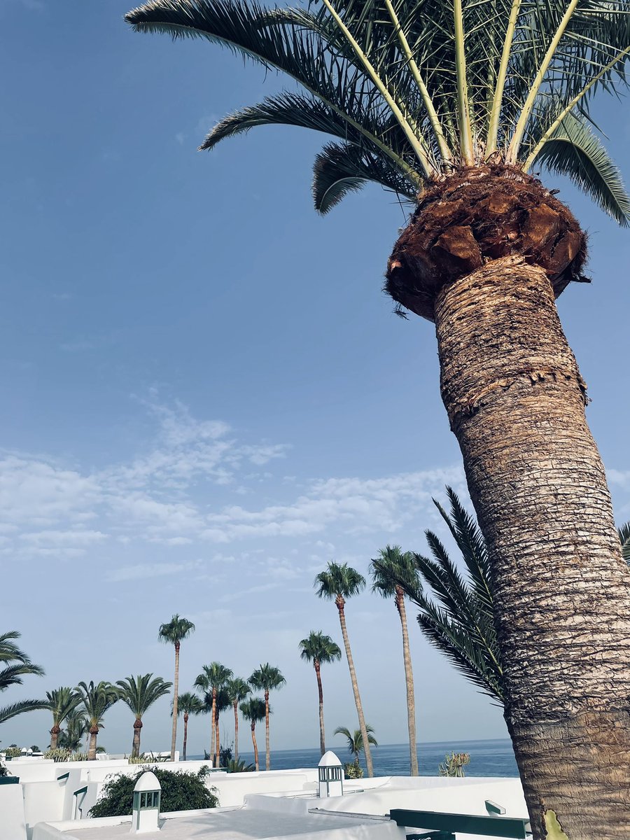 Alexandre tweet media