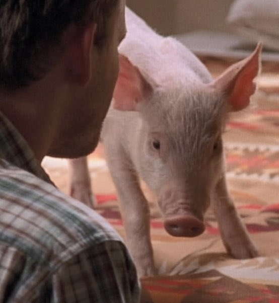 malcolm out of context (@contextmalcolm) on Twitter photo 