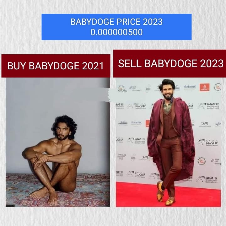 #BabyDoge Price 2023
0.0000005000