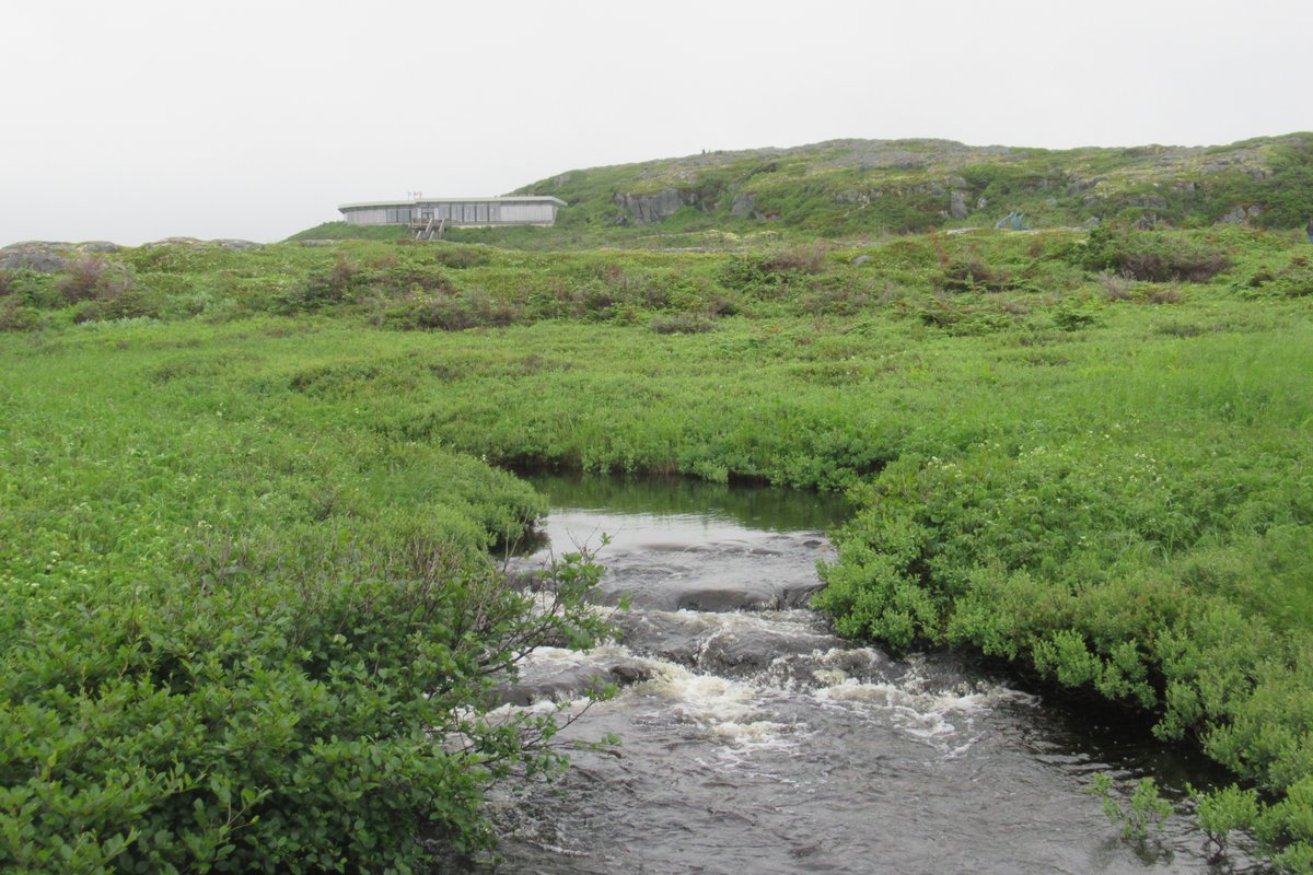 paularreyn's tweet photo. L'Anse aux Meadows National Historic Site - Viking settlement in the 11th century, yes, but #IndigenousNL People were here long before that! π₯π #historyNL #exploreNL #GreatNorthernPeninsula #lanseauxmeadows #vikingtrail #Newfoundland https://t.co/9hSlzvTtOV