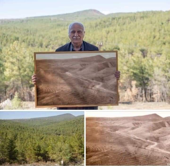 aliosmanonder34's tweet photo. Emekli Orman mühendisi Hikmet Kaya üzerinde tek bir ağaç olmayan büyük bir saha alanını 41 yıl önce ağaçlandırmış. Şimdi o ağaçlandırma yaptığı saha alanı koca bir orman. Aynı yerde 41 sene önce bu pozu veren Hikmet Kaya 41 yıl sonrada aynı yerde poz verdi. Sinop Boyabat https://t.co/7Z6THLSBY1