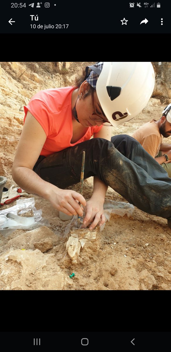 elenaMorRib's tweet photo. Se acabó la campaña de #Atapuerca2022 
Como cada año, hemos podido contar con un montón de estudiantes y profesionales del área #CRarqueología 
Gracias por el buen trabajo que habeis hecho!!!
@iphes @CENIEH_CRLAB @escolaconservac @UV_EG #ESCRBCC

📷 @GuillnMaria
#EIA @FATAPUERCA https://t.co/bKrF6NUJdE