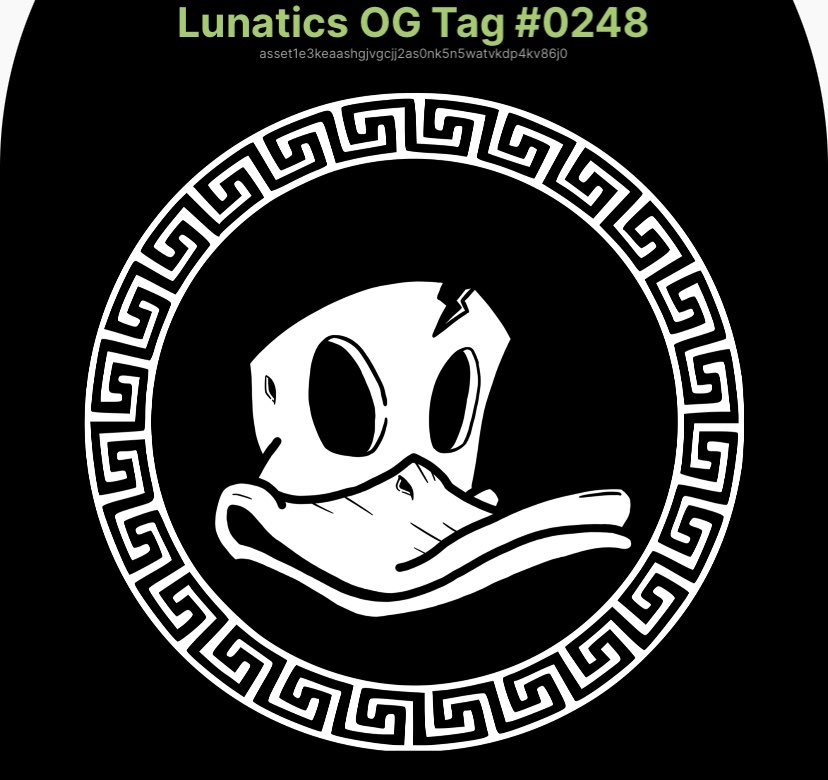 TrevorThomps13's tweet photo. Just got my @LunaticsCNFT OG Tag! Sucks to be all you duckers that can’t get any! #CNFTs #OGDucks #Quack #DuckOff https://t.co/RnjViSfa6j