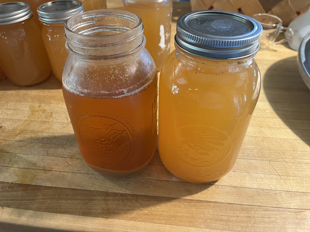 RepThomasMassie's tweet photo. When I got home this weekend, the Pristine apple tree had dropped lots of apples. We don’t like apple sauce much so Rhonda and I canned about 3 gallons of apple juice. The fresh stuff tastes even better (left jar in last pic) but it won’t keep long. Tree pic is after picking. https://t.co/MRd7IMvSzg
