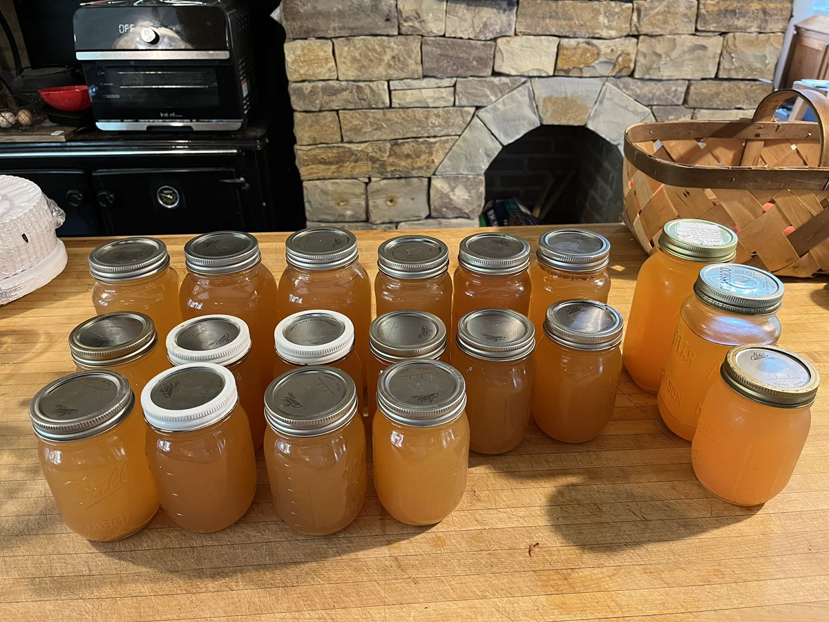 RepThomasMassie's tweet photo. When I got home this weekend, the Pristine apple tree had dropped lots of apples. We don’t like apple sauce much so Rhonda and I canned about 3 gallons of apple juice. The fresh stuff tastes even better (left jar in last pic) but it won’t keep long. Tree pic is after picking. https://t.co/MRd7IMvSzg