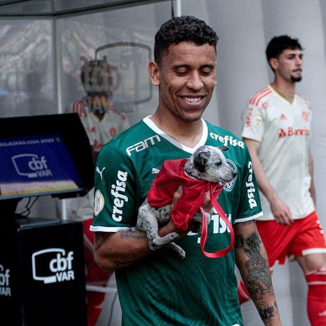 o último zibordi on Twitter &quot;Ainda querem falar que o Palmeiras é o