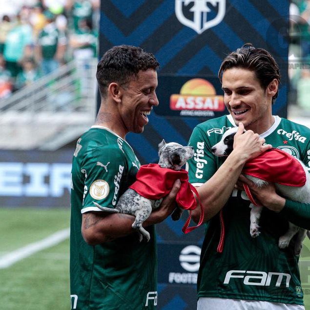 o último zibordi on Twitter &quot;Ainda querem falar que o Palmeiras é o