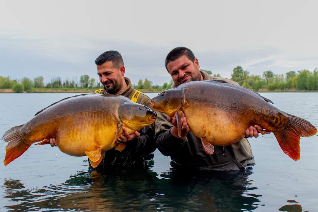 Dan and Lewis Daneshi enjoyed a big haul at Holme Fen recently - landing 19 carp between them, with ten over forty-pounds, and the biggest at 59lb! Our Quad hookbaits fished with Power+ Particle Hemp ‘N’ Maize along with a new Freezer Bait on test

#carpfishing  #mainlinebaits
