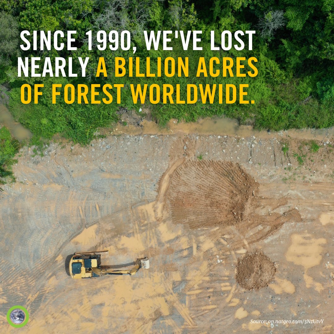 Nearly 250 million people, many of whom are among the poorest in the world, rely heavily on forests for food and work. Add in the 80% of animals that live in forests, and we have ecosystems that support lives all over the globe. Protecting our trees means protecting our futures.