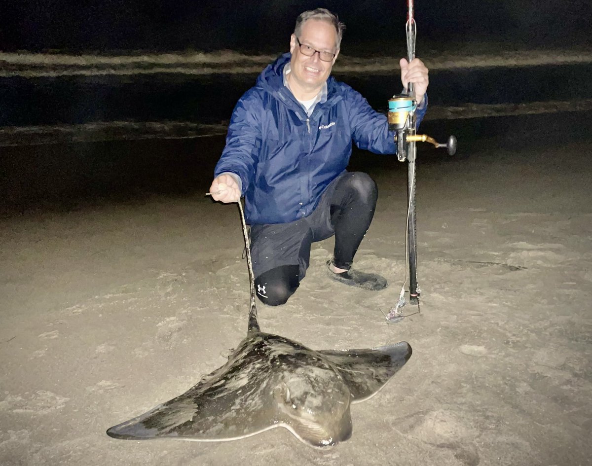 ThePerchJerker's tweet photo. Mark finished off the night with a huge pregnant bat ray. This was a mama, so we safely released it back into the ocean 🦑 https://t.co/WJXr4PsKrJ
