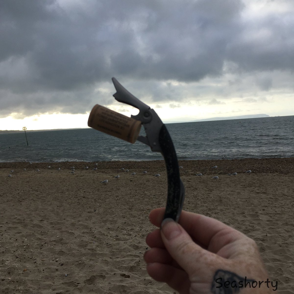 seashorty's tweet photo. This morning I picked up 528 pieces of litter from our beaches. 

This afternoon I joined some of my crew from @mudefordquaycc to do a quick litter check after the #BlueLightDay at #MudefordQuay  and picked up another 117 pieces. 

No overview yet, but here's a rescued corkscrew! https://t.co/z8nbJaavT0
