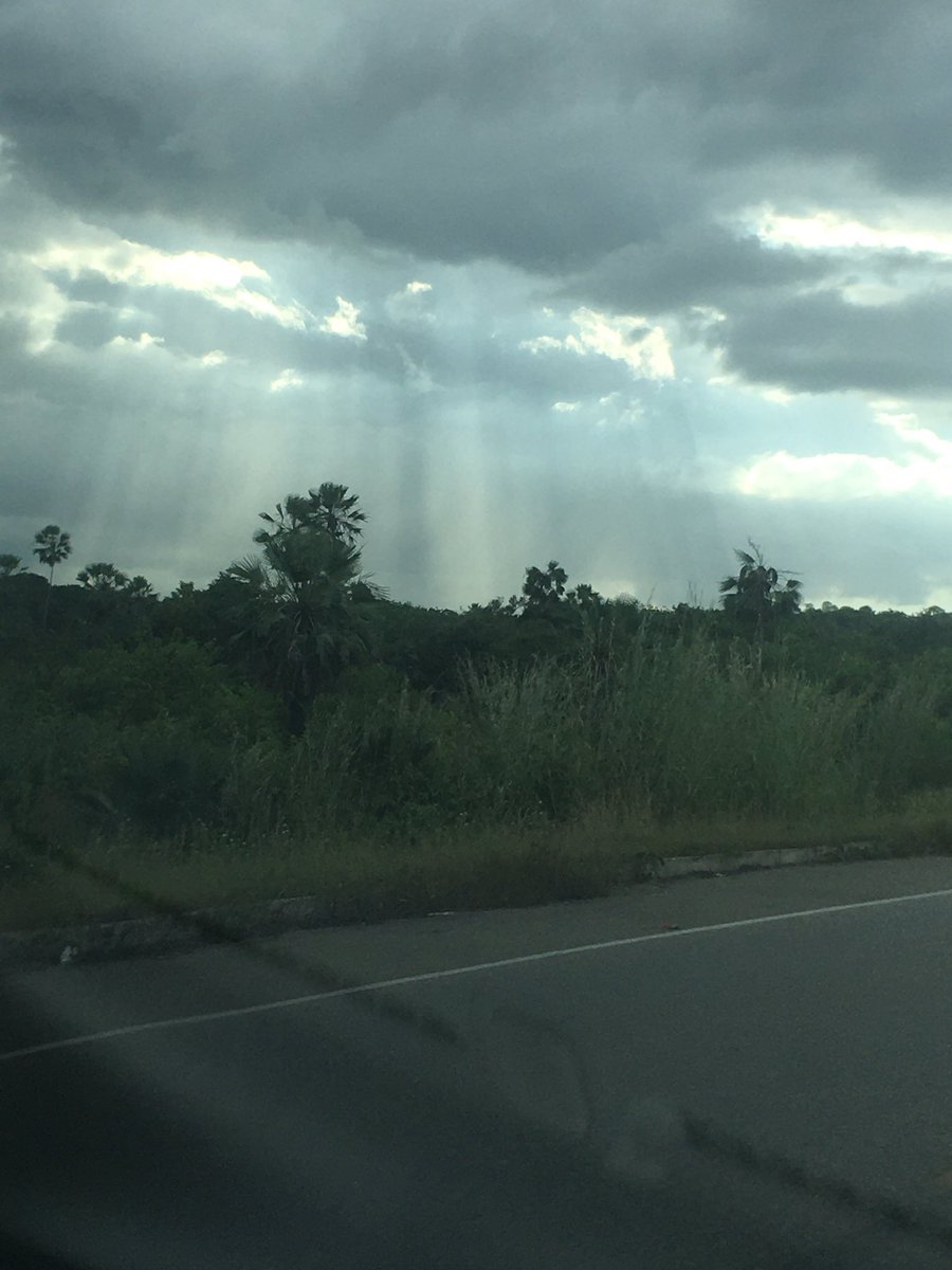 ___WhiteForest's tweet photo. Gm! #NFTCommunity  #nftphotography  #NFTFam #NFTphotos 

 Look at this lights! Feel’s like a divine message. 💚💎 https://t.co/nOfo4rGxt5