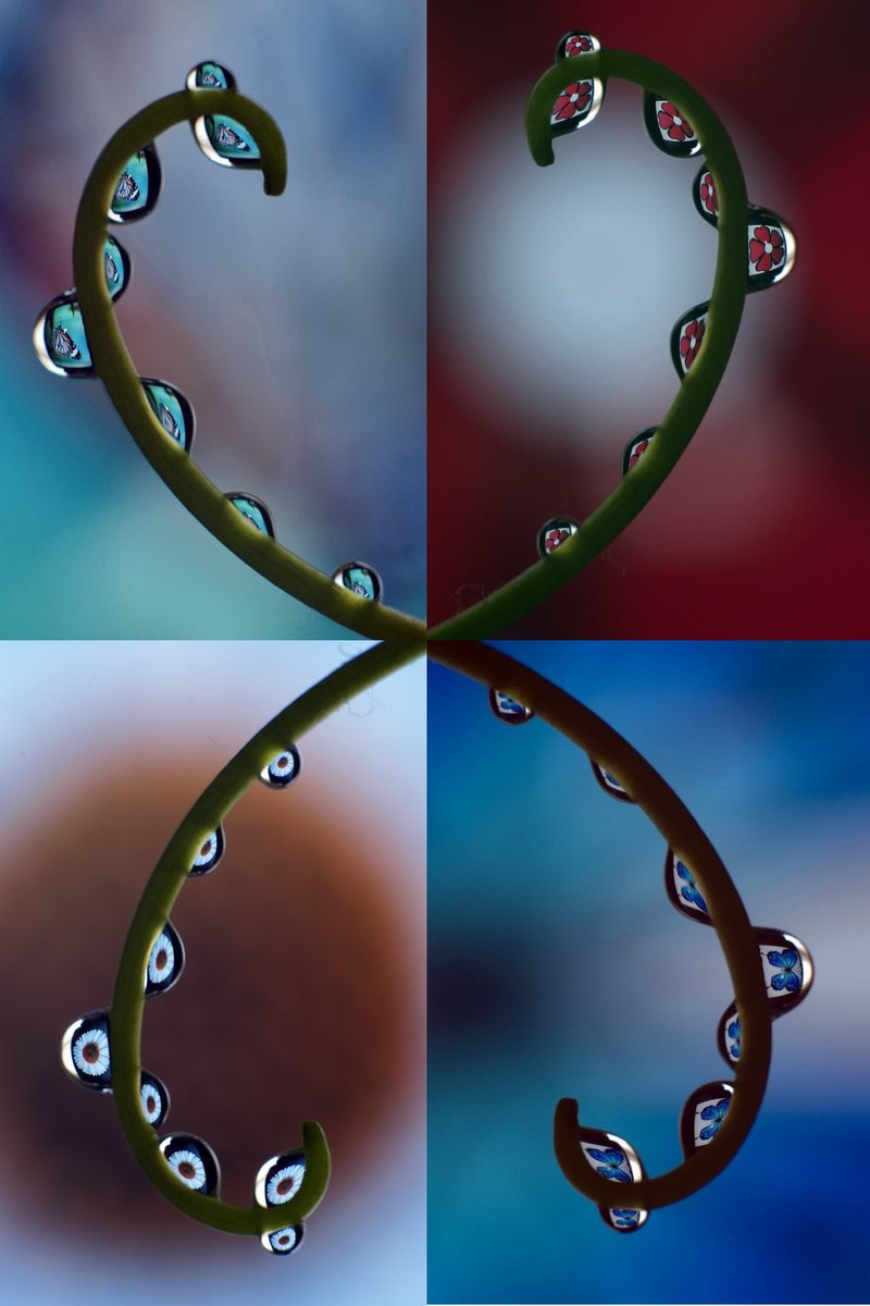 _m_yigit_'s tweet photo. Hi,
The magical beauty of tiny worlds.🫧💧📸🔎
"drops and macro"
@opensea
✅Edition : 1/1
✅Price : 0.025 eth
#NFTCommunity #nftphotography #Nftmacro
Link⬇️
https://t.co/HtYNht4X95
❤️💙💜🧡 https://t.co/k82QYAIQsr