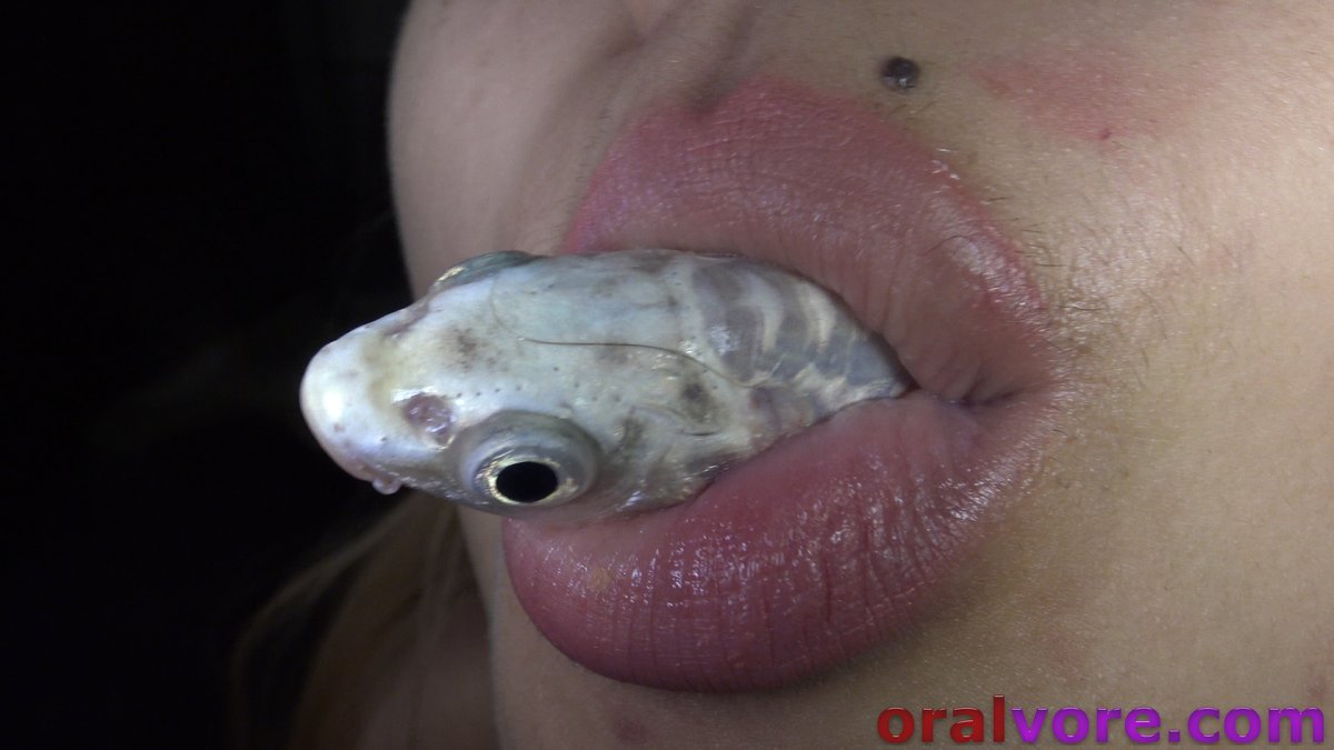 oralvore's tweet photo. Kim's mouth pet. Lucky little guy ;) what a day this fish had... happiest day of it's life. I wonder, if fish knew what their fate was gonna be when people are looking at them thru the glass, and they saw Kim, would the fish all be like "PICK ME, PICK ME!"?? I think they would :) https://t.co/cbGHsmQl2h