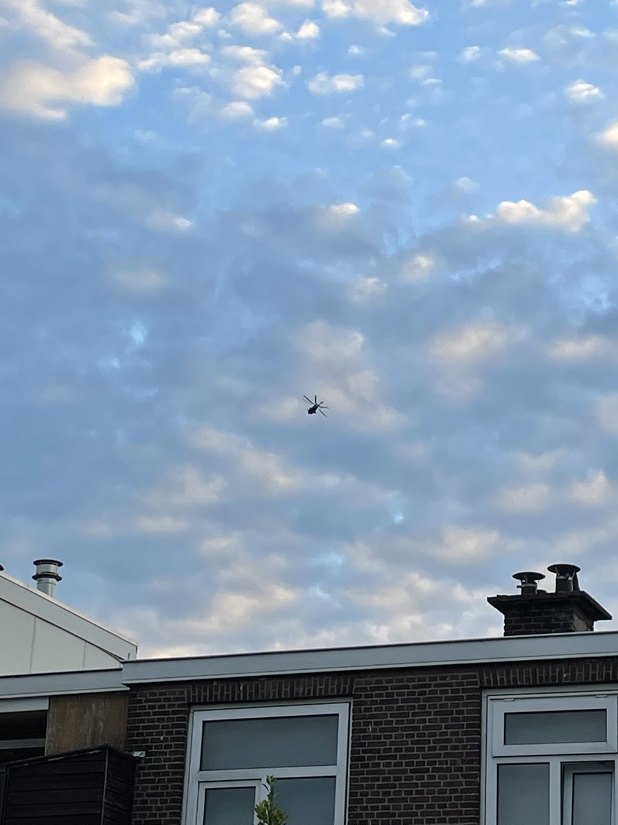 Leo Alexis tweet media