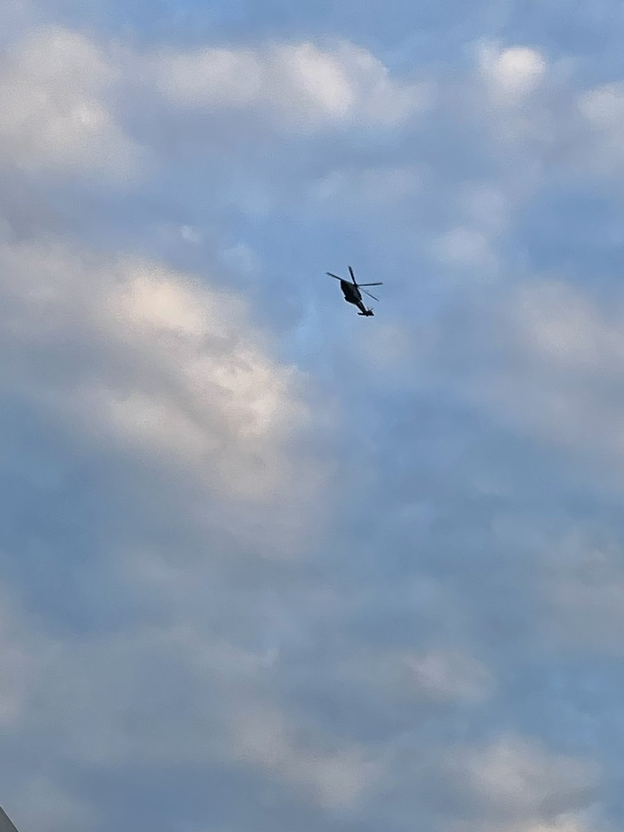 Leo Alexis tweet media