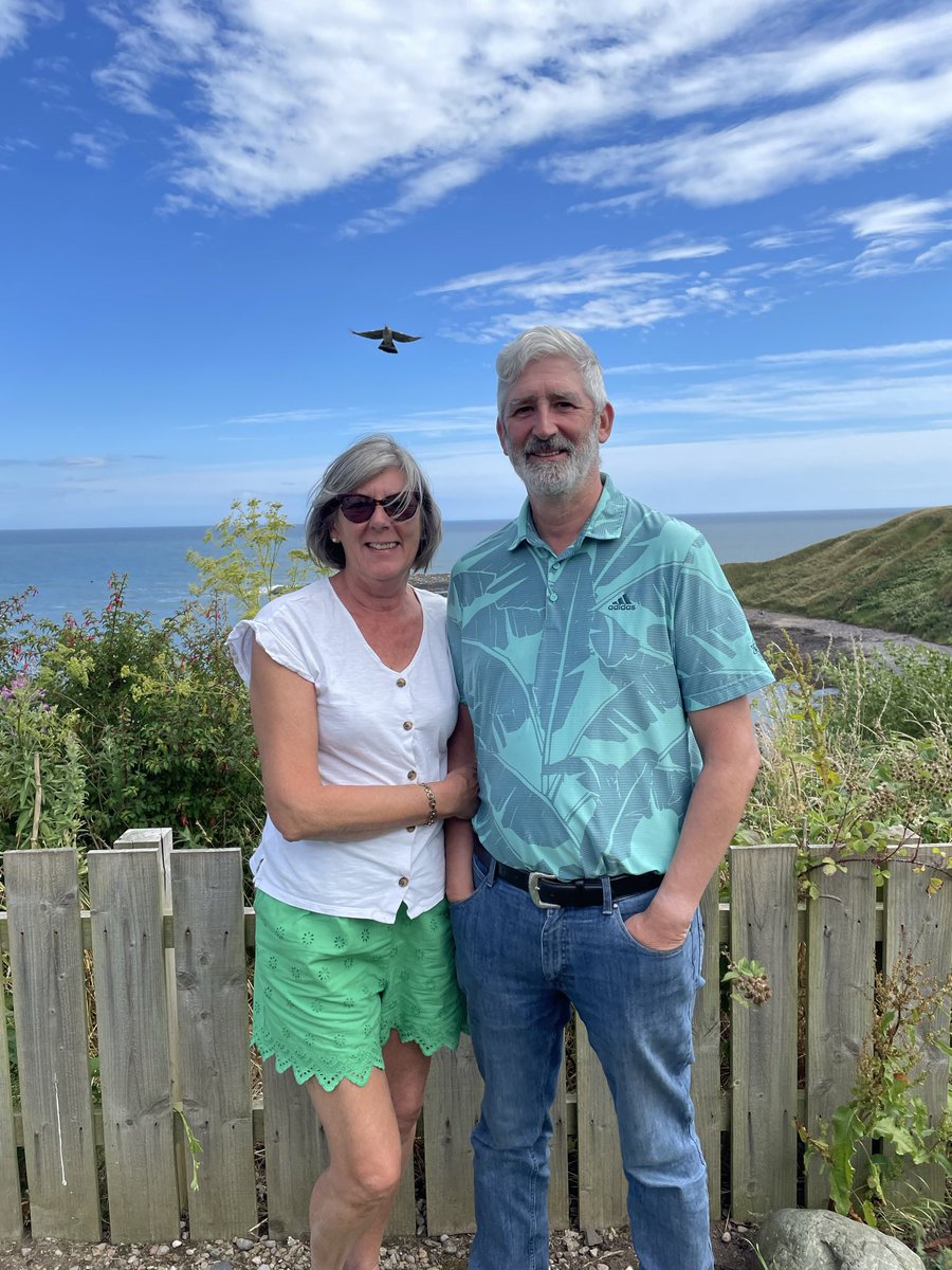 Cherry Wainwright tweet media