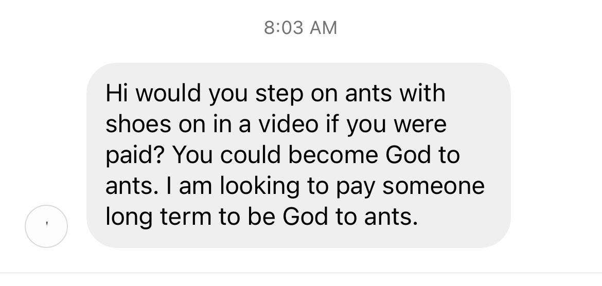 Kayla Knapp tweet media