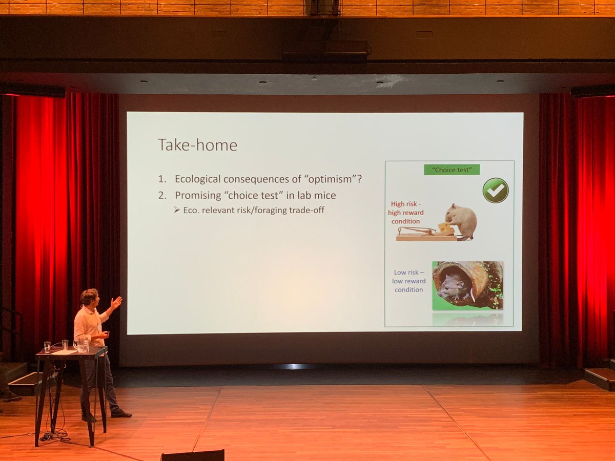 Amazing experience attending and presenting <a href="/ecbb2022/">ECBB 2022</a> ! 
The stage was scary, but the audience was great.
In the talk, I explored the ecological consequences of being more optimistic/pessimistic 🐁🔎. We did not find them but it is still an exciting and open question to explore.