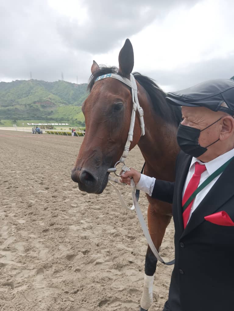 OficialINH's tweet photo. Fotos 📸 | En emocionante carrera "Lyndacarter" (5) se coronó como la nueva Triple Coronada🏆 en el Hipódromo Internacional La Rinconada, con la extraordinaria conducción de Rafael Solano🏇 y entrenamiento de Ramón García

👉 En el segundo puesto llegó "Philomena" (4).

#Hipismo https://t.co/Ve57KdwlSE