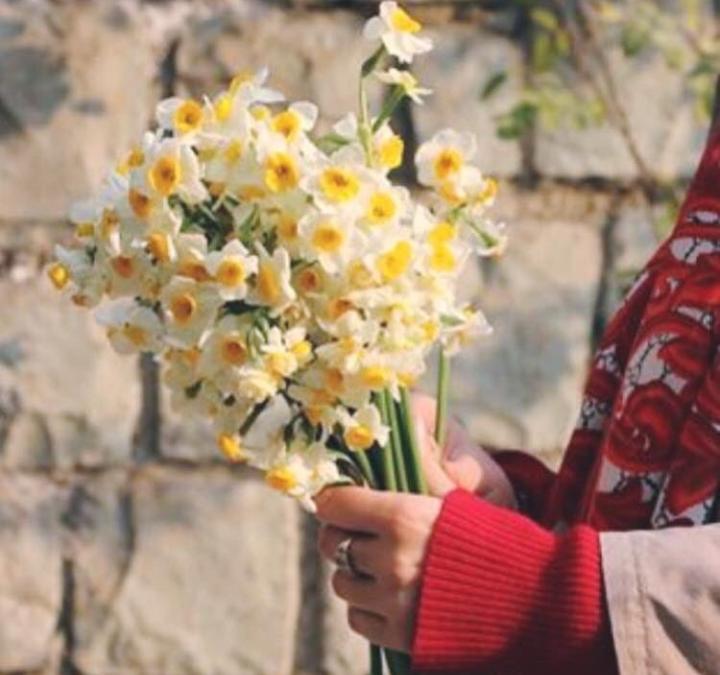 سيُمطِرُ الله سمائك بما كنتُ تدعوه،
سيأتي اللهُ بالبشائر،
سيَضحَكُ قلبُك يوماً،
فالدُعاءُ سهمٌ لهُ أمد ولابدّ لهذا الأمدِ أن يحين"