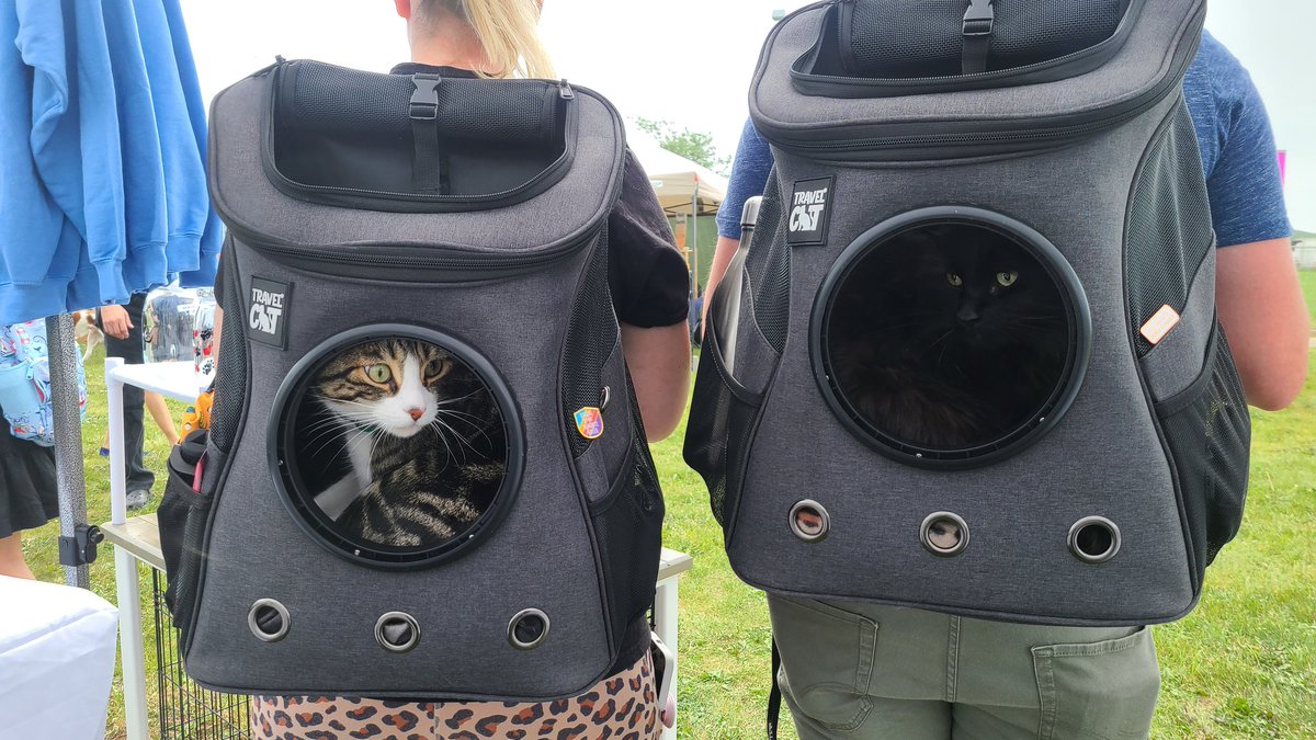 EdmontonHumane's tweet photo. There's still a couple hours left to come shop at #MADEforPETS! It's the purr-fect day for it πΊ
@CityofEdmonton https://t.co/NkBJAiKtxk