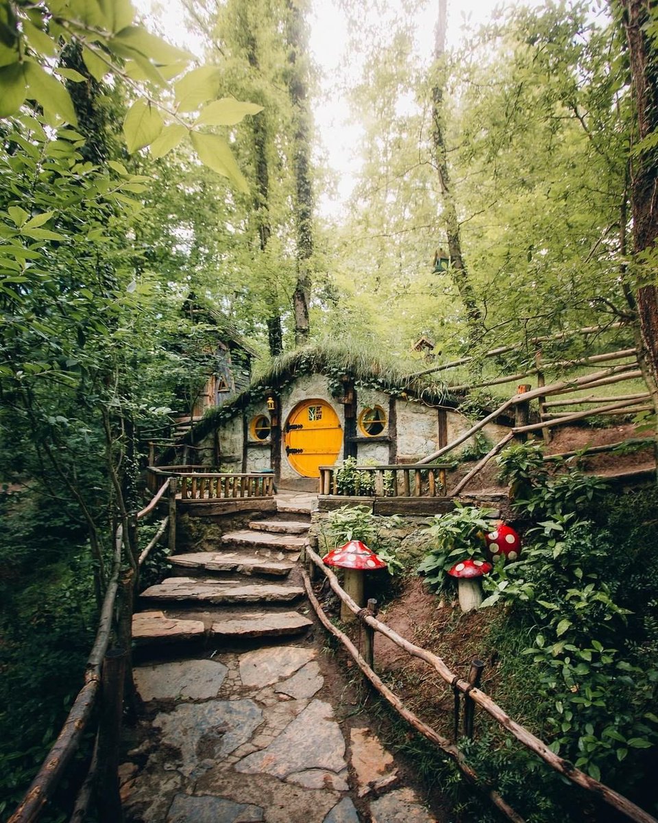 Ormanya Hobbit Evlerini gördüm mü?
📌 Kocaeli

#güneşli #florya #SONDAKİKA jelibon