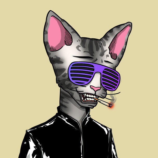 Great day <a href="/CetsOnCreck/">CetsOnCreck is now CETS</a> 🔥 How’s your day #cets LFGG

#sol #NFTCommunity #NFTs #cetsoncreck