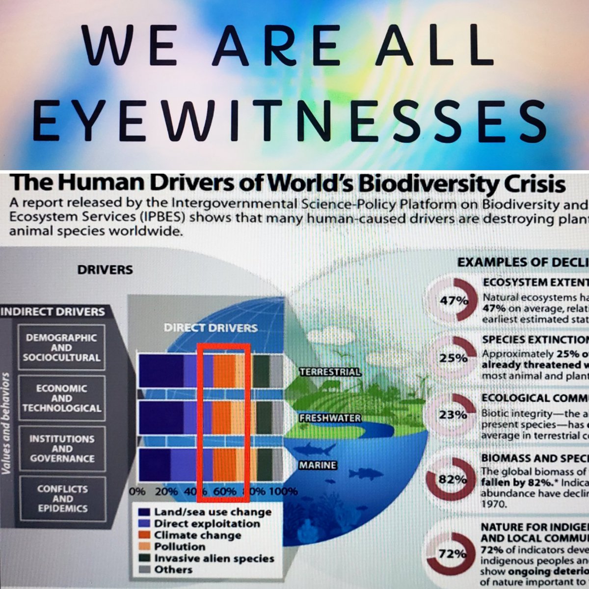 mssipeenviro's tweet photo. Summer PD Session #2- Climate Change Summer Institute for  Educators. @ClimateGenOrg @NOAAClimate @GLIFWC @ProjectDrawdown @allwecansave #climatechange #socialjusticeandequity #thepowerofstorytelling #cultivatingresilience https://t.co/wmIRsGigJi