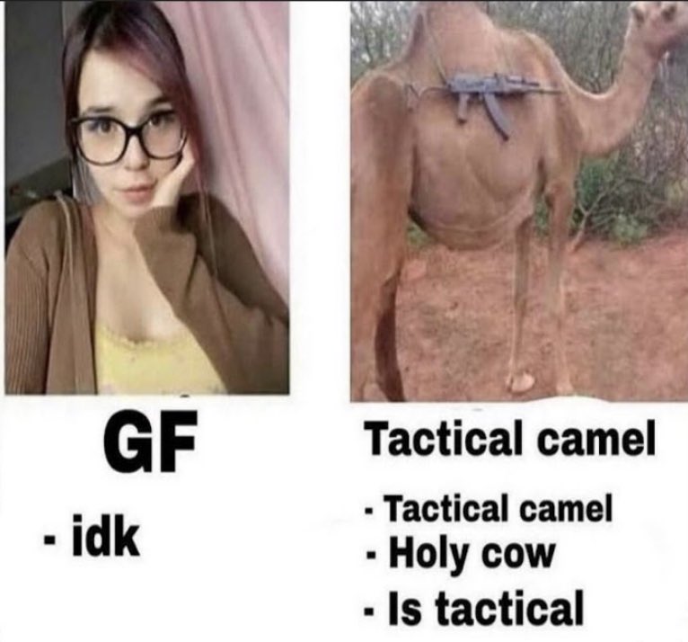 lmfao (@lmfaoos) on Twitter photo 