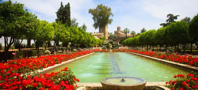 ⵍ ⴻⵜⵔⴰⵏⴳⴻⵔ🤲l'étranger☝️🇲🇦🤲الأجنبي ☝️overseas tweet media