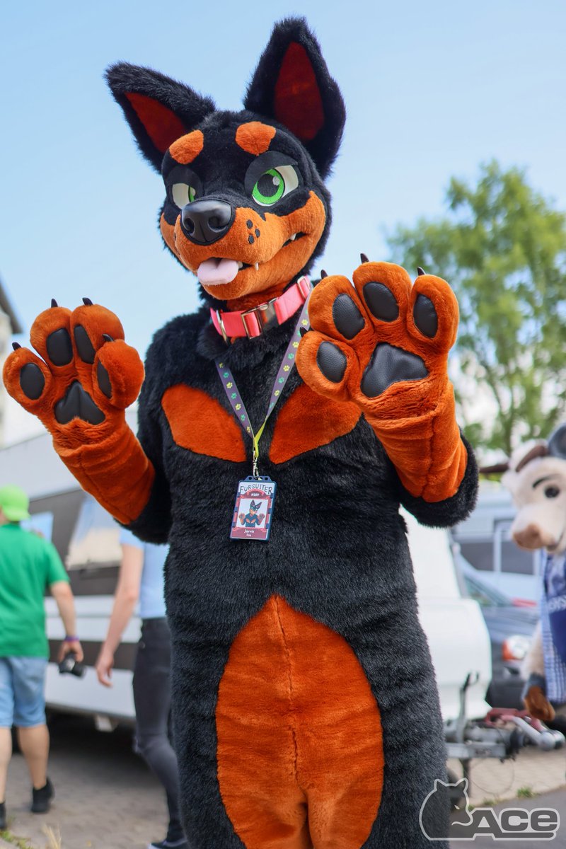 Ace / Zango tweet media