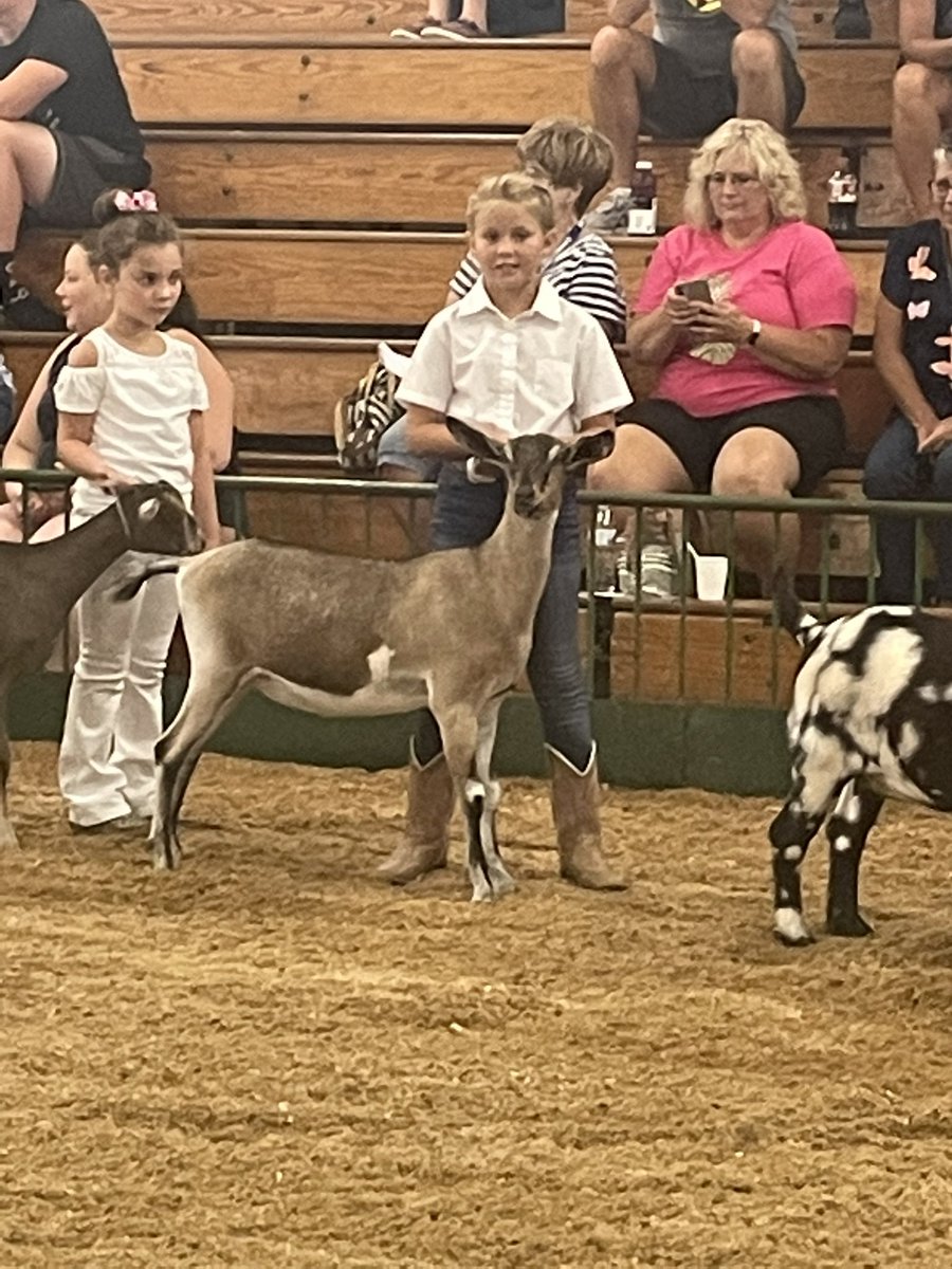 ryoder33's tweet image. Future Lady Warriors showing at the Elkhart Co. 4-H Fair.  Nice job Hadley, Harper, Ashby, &amp;amp; Kinley.