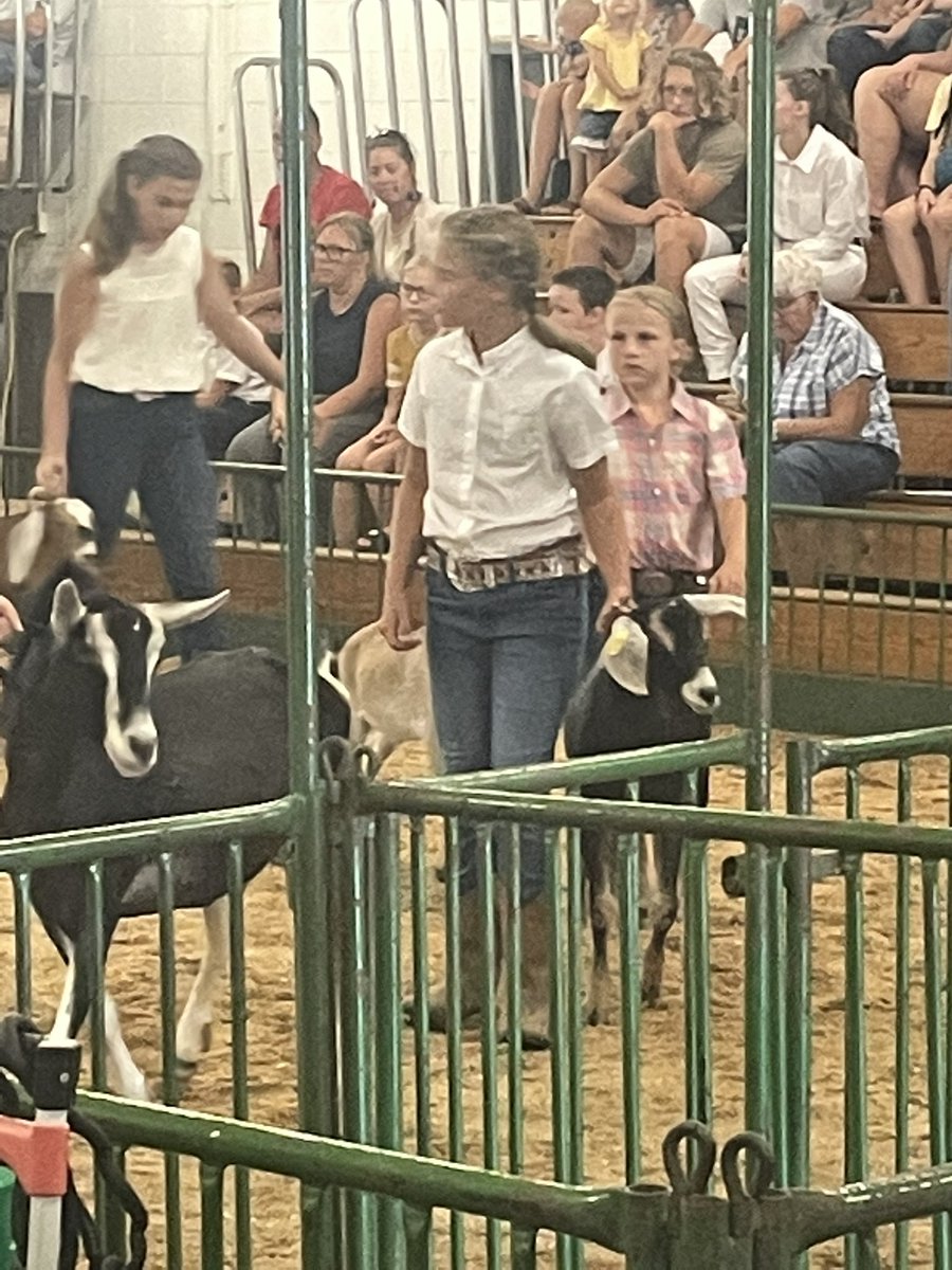 ryoder33's tweet image. Future Lady Warriors showing at the Elkhart Co. 4-H Fair.  Nice job Hadley, Harper, Ashby, &amp;amp; Kinley.