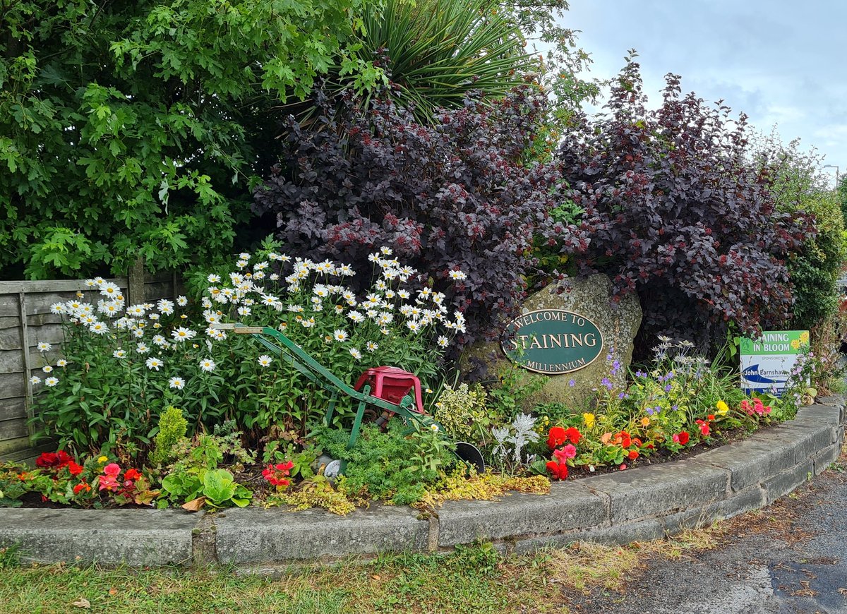 Staining in Bloom tweet media