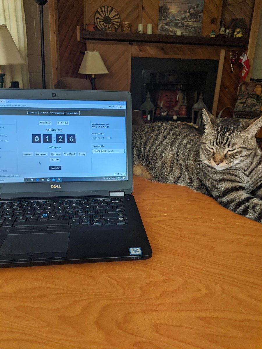 vrhand001's tweet photo. My baby TRUMPSTER loves sitting with me watching me make phone calls on a Sunday afternoon to all the voters for Governor @RonDeSantisFL and @marcorubio Even Cats can #LeadRight @FloridaGOP #MakeCatsGreatAgain #FloridaVictory https://t.co/LbTo7lJahU