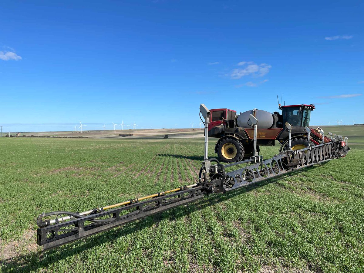 McIntosh & Son tweet media