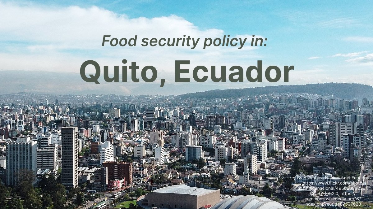 What are the factors that go into #FoodSecurity policy?
Using #Quito , Ecuador as a case study, we dive into how income, intersectionality, and environmental mgmt play into <a href="/ConquitoUIO/">ConQuito</a>'s urban ag initiative🥕
in Handpicked S2E1:
open.spotify.com/episode/1sXewk…