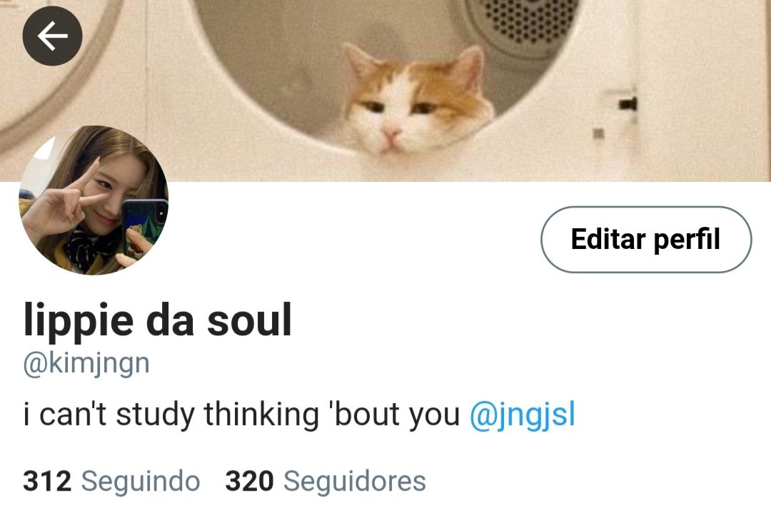 iboootao's tweet photo. Kim Jungeun (Lip) | 23 anos 
Cursa Direito 
Namorada da Jinsol, cujo se conheceram em um aplicativo de namoro. https://t.co/wGc0KwH6J3