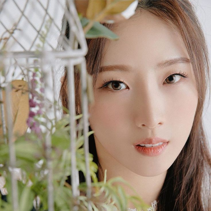 iboootao's tweet photo. bloody petals  — viseul short au. 
Haseul estranhamente começa a receber cartas acompanhadas de pétalas ensanguentadas toda semana dos correios de um remetente desconhecido. Com isso, ela começa a investigar e fazer pesquisas para descobrir o motivo e a origem desse presente + https://t.co/bnTO6XZjwu