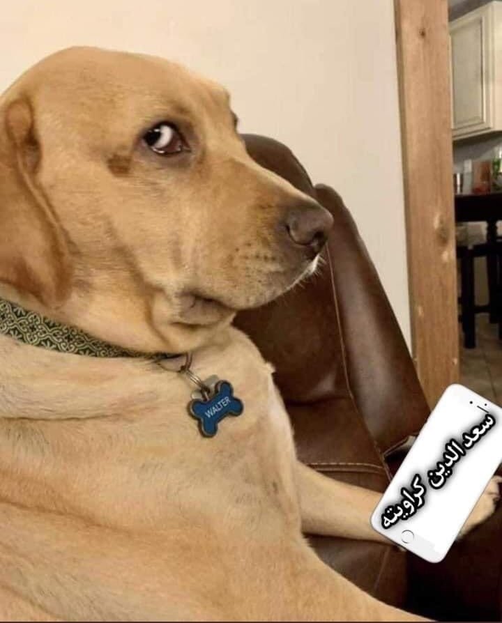 ‏- ححمّودي🤭. tweet media